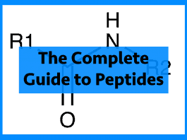 Peptide bond guide