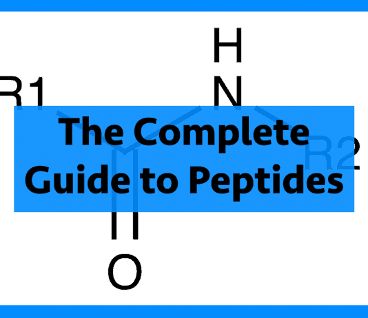 Peptide bond guide