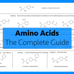 amino acids complete guide